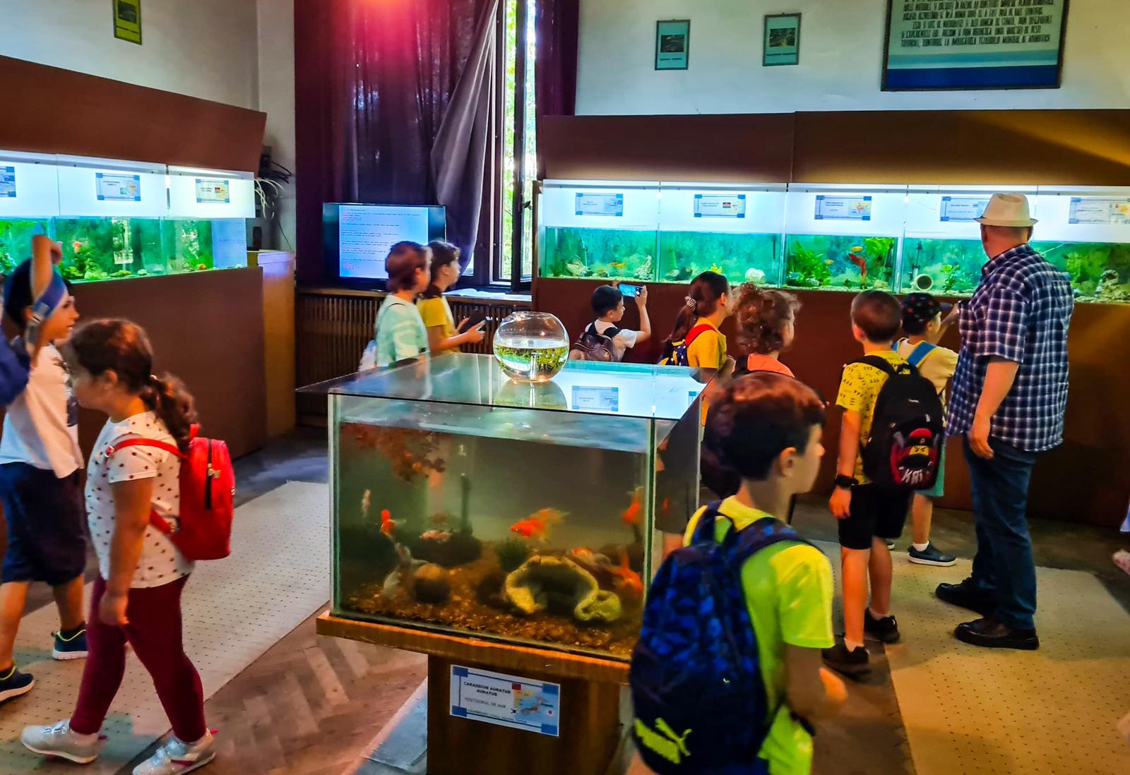 Galerie After School Regina Maria Ploiesti - activitati pentru copii - imaginea 39