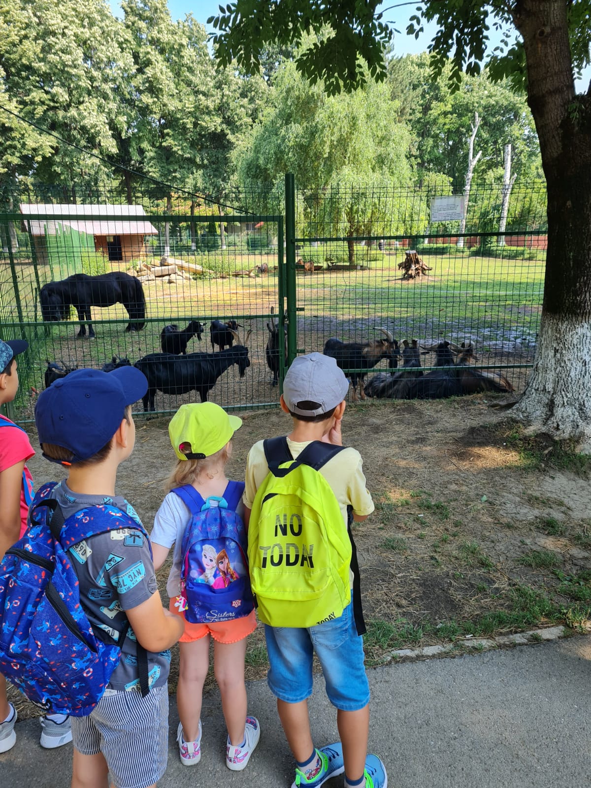 Galerie After School Regina Maria Ploiesti - activitati pentru copii - imaginea 47